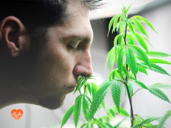 Детоксикация от марихуаны в Сортавале